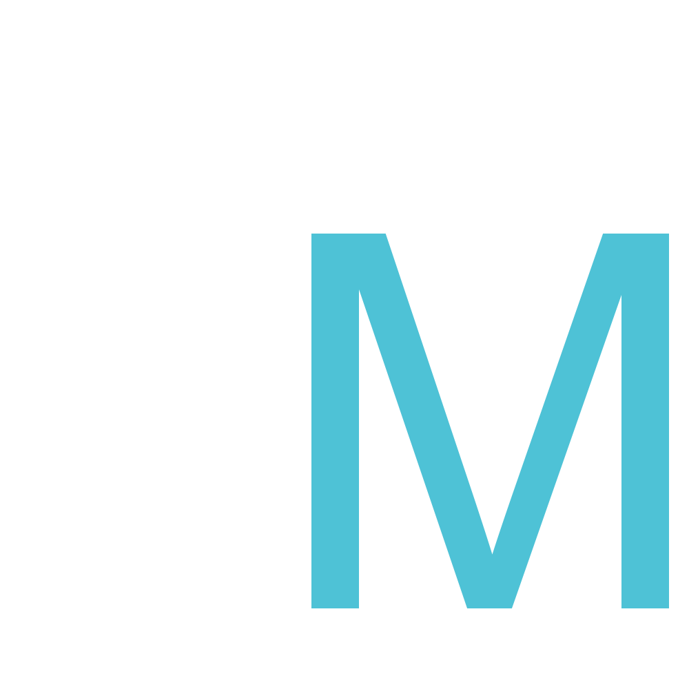 IT-Meindl Logo